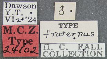 Media type: image;   Entomology 24102 Aspect: labels
